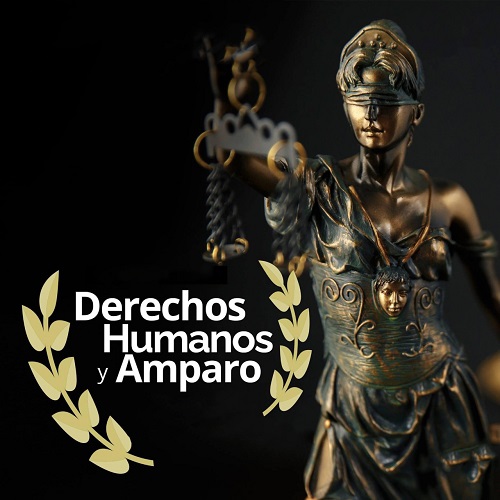 Derechos Humanos y Amparo