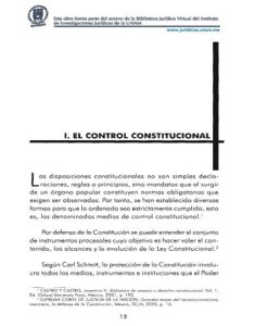 El control constitucional