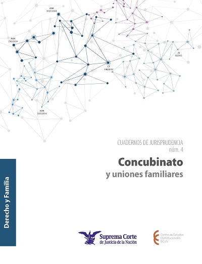 CUADERNO DF_04_CONCUBINATO_FINAL OCTUBRE