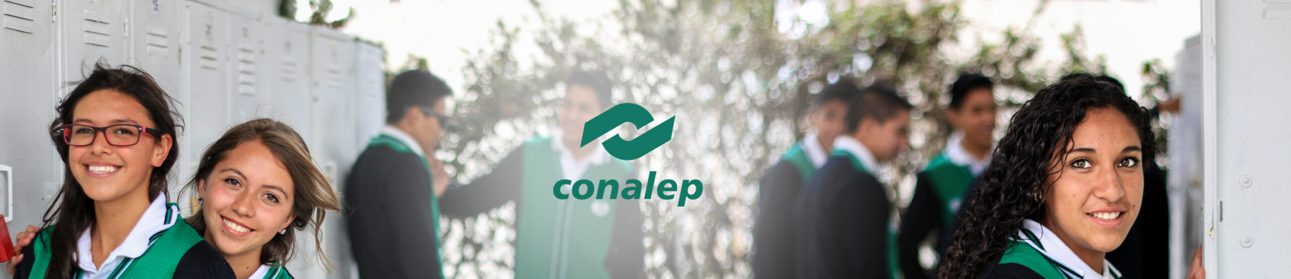 banner resolución de problemas conalep banner resolución de problemas conalep
