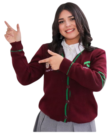 Modelo Derecho Penal
